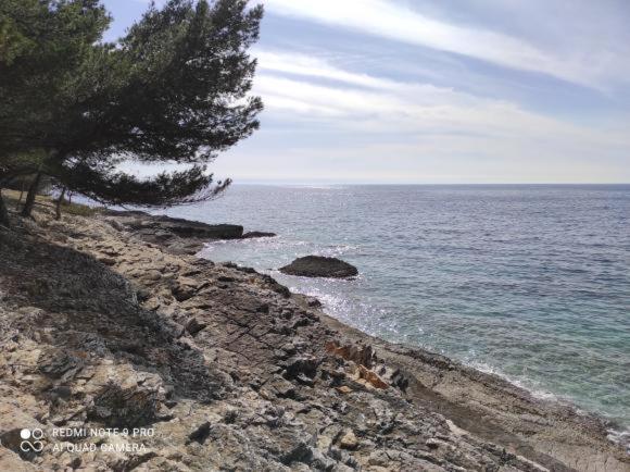 Apartment Anethum Premantura Εξωτερικό φωτογραφία